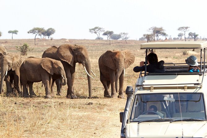 Private Full Day Trip in Lake Manyara National Park
