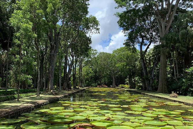Private Guided Tour of Northern Mauritius With Shopping in Port Louis - Landmarks Visited