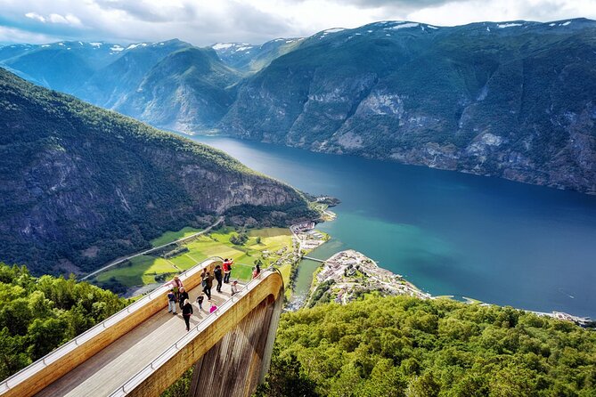 Private Guided Tour – Premium Nærøyfjord Cruise and Flåm Railway