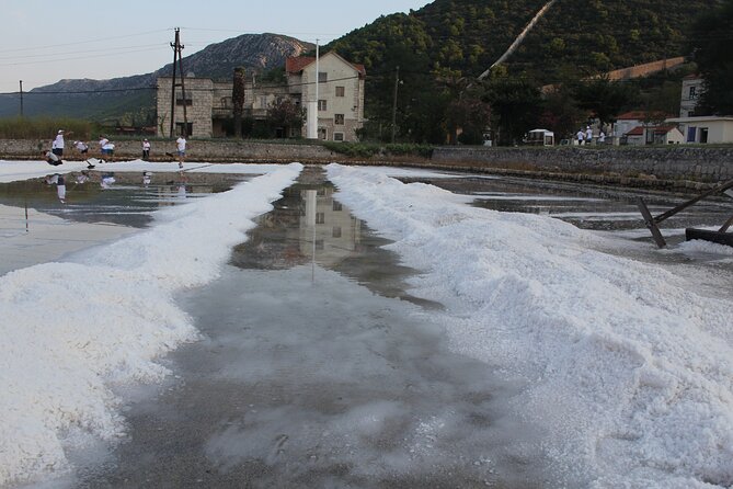 Private Guided Tour Tasting of Dubrovnik - Pricing Details
