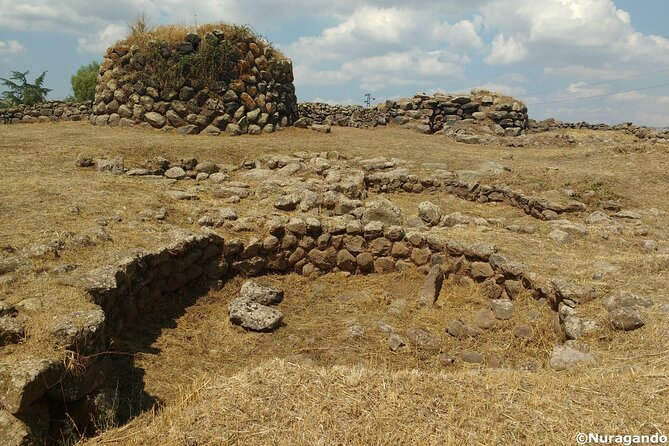 Private Guided Tour to Borore in the Bronze Age - The Sum Up