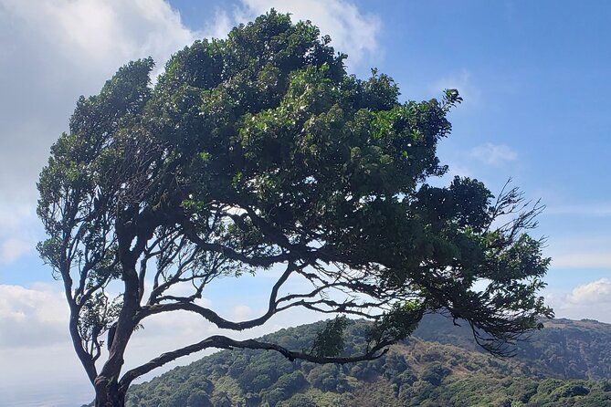 Private Half Day Hike to Ngong Hills From Nairobi - Itinerary Details