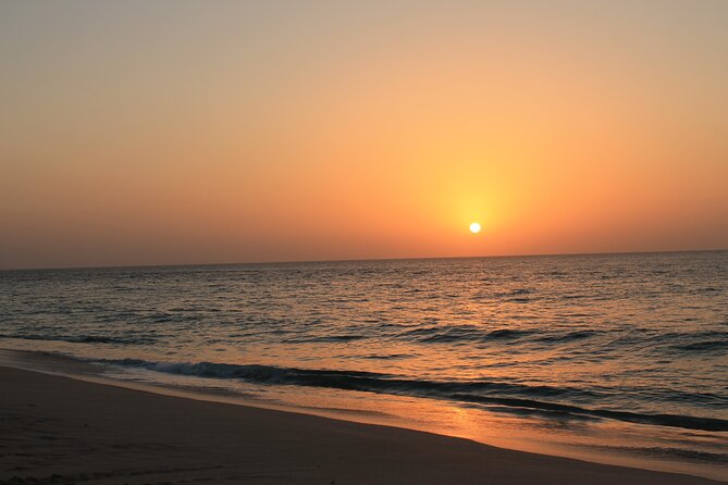 Private Half-Day Muscat City At Night Tour - Tour Details