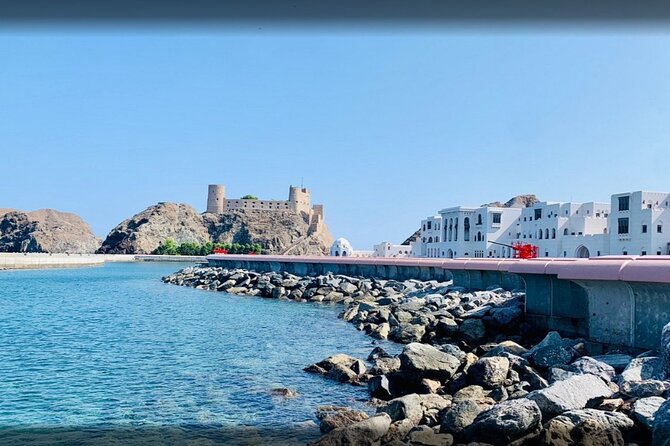 Private Half Day Muscat City Tour Afternoon - Private Guide