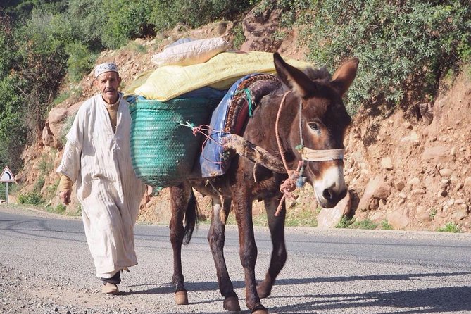 Private Half-day Trip To Ourika Valley From Marrakech Including Camel Ride - Tour Overview