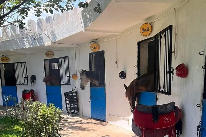 Private Horseback Ride at Sunset in Hammamet - Booking Information