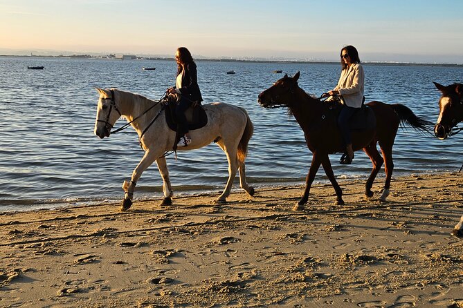 Private Horseback Riding - Meeting Point Information