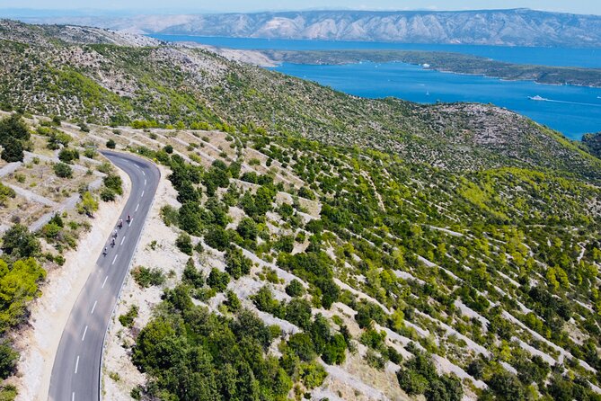 Private Hvar Island Bike Tour and Wine Tasting