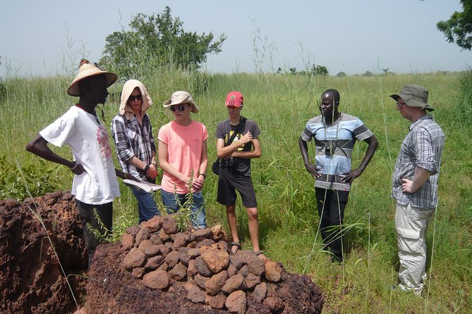 5 Best Tours In Banjul