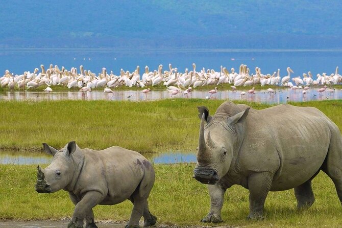 Private Lake Nakuru Day Tour From Nairobi