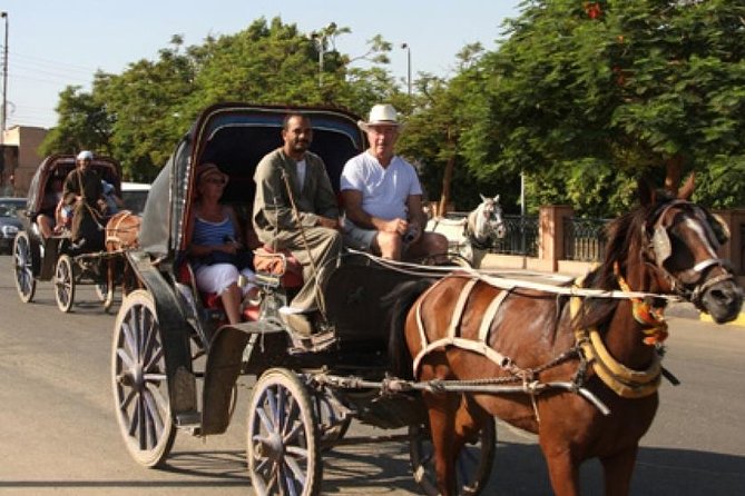 Private Luxor Horse Carriage Tour From Luxor - Tour Details