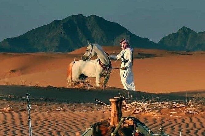 Private Luxury 8-Days Tour in Jordan, With a Licensed Tour Guide - Pickup and Meeting Points