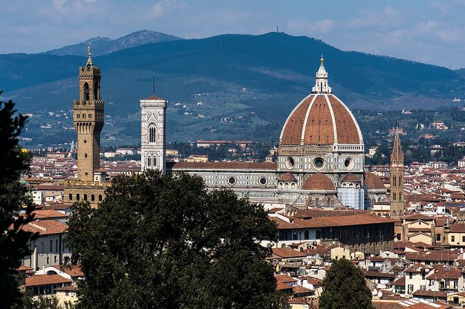 Private Luxury Transfer From Rome to Florence - Luxury Transfer Details
