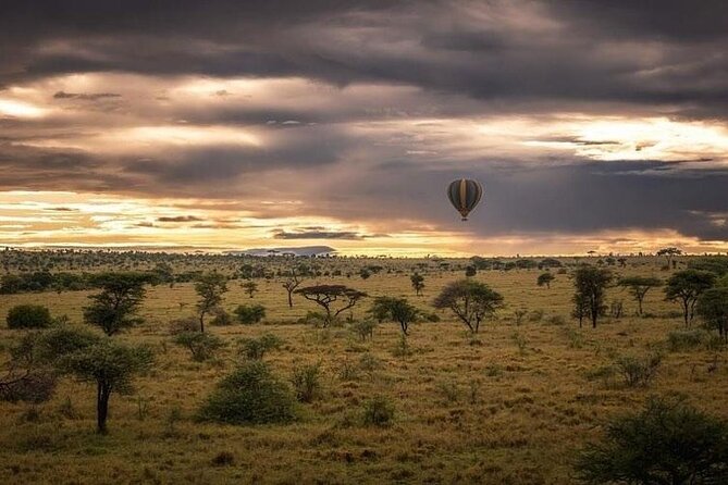 Private Multi Day Safari Tour in Tanzania - Customer Reviews