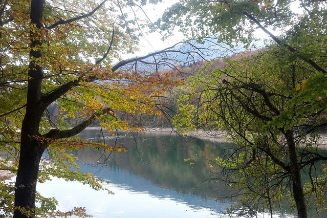 Private North Montenegro Tour -Moraca River Canyon and Walk Trough Virgin Forest - Itinerary Overview