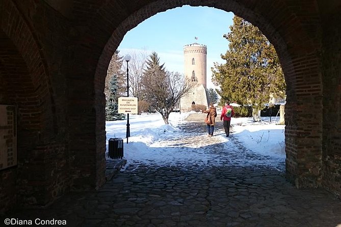 Private One Day Tour of Medieval Romania From Bucharest - Tour Inclusions