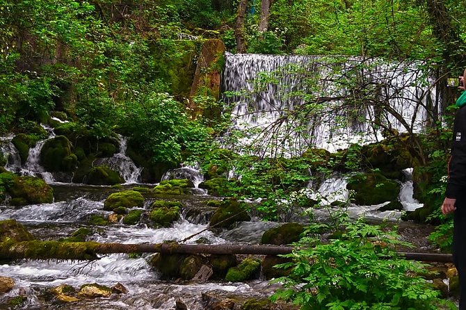 Private Road Trip From Belgrade to Mountain Tara - Belgrade to Mountain Tara Itinerary