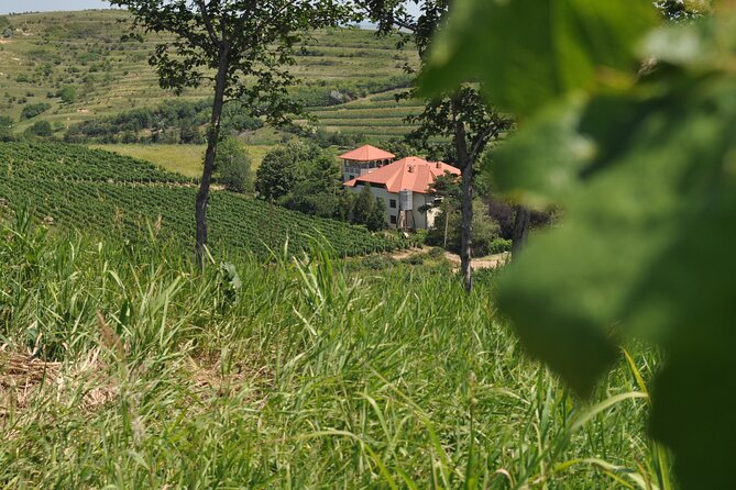 Private Romanian Wine Tasting in Urlași - Meeting Point