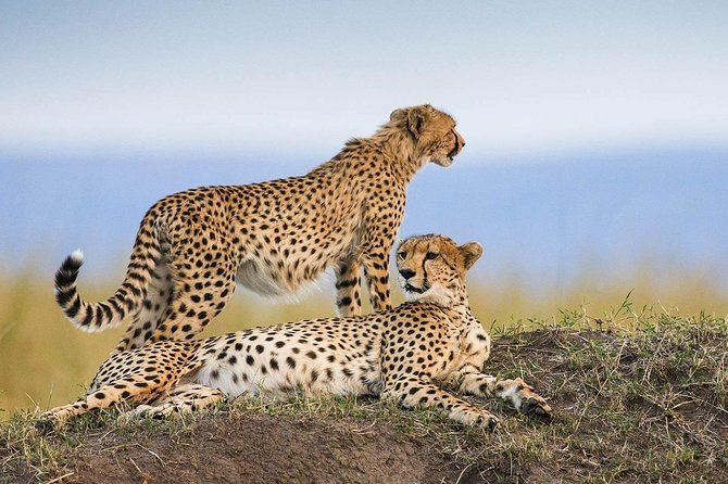 Private Safari for Couples | 5 Day - Itinerary Highlights