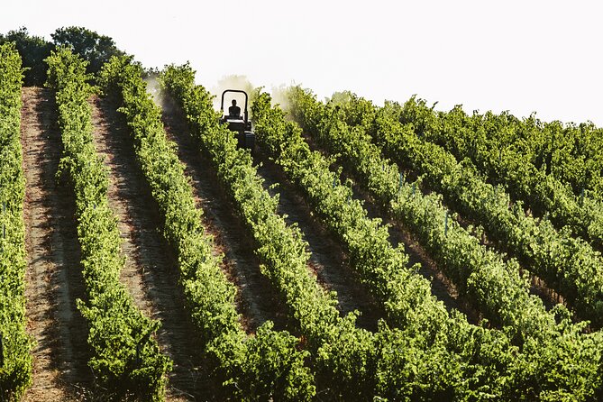 Private Sardinian Wine Experience - Experience Details