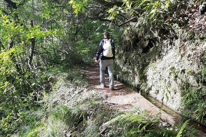 Private Service VIP Levada Dos Cedros – Fanal Walk - Inclusions