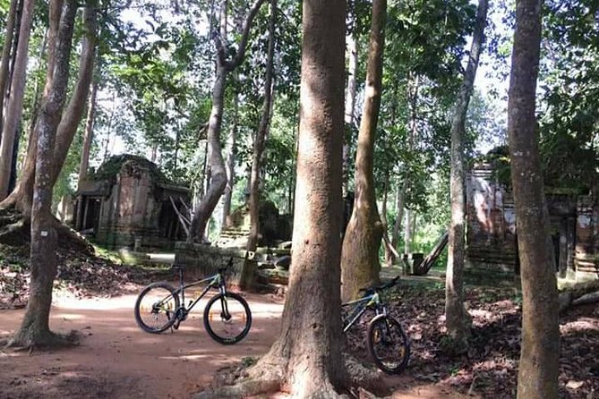Private Siem Reap Countryside Cycling Tour - Inclusions and Experiences
