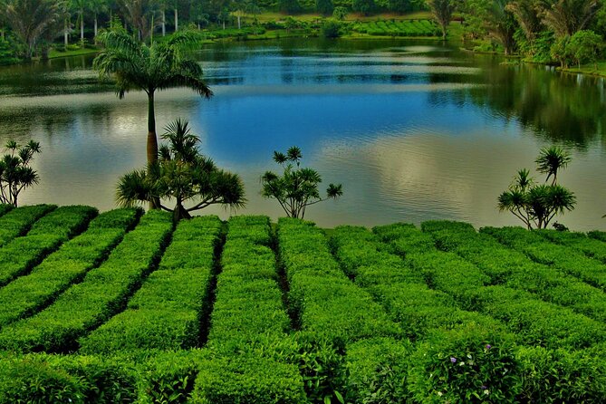 Private South of Mauritius With Tea Tasting, Lunch & VORTEXENERGY - Inclusions