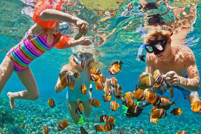 Private Speed Boat Island Trip: Swim With Dolphins, Snorkeling