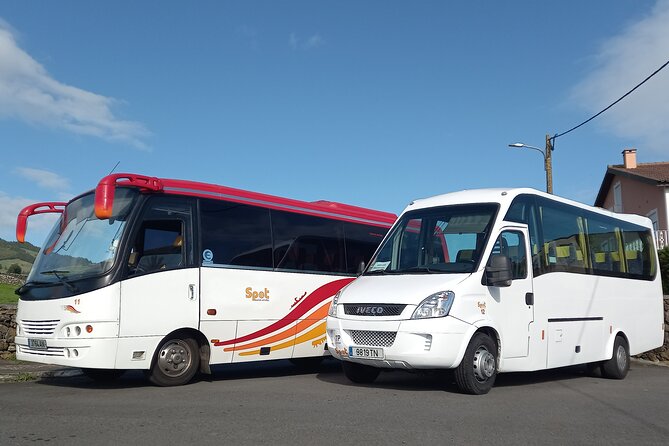 Private Terceira Island Half Day Bus Tour - Pickup Details