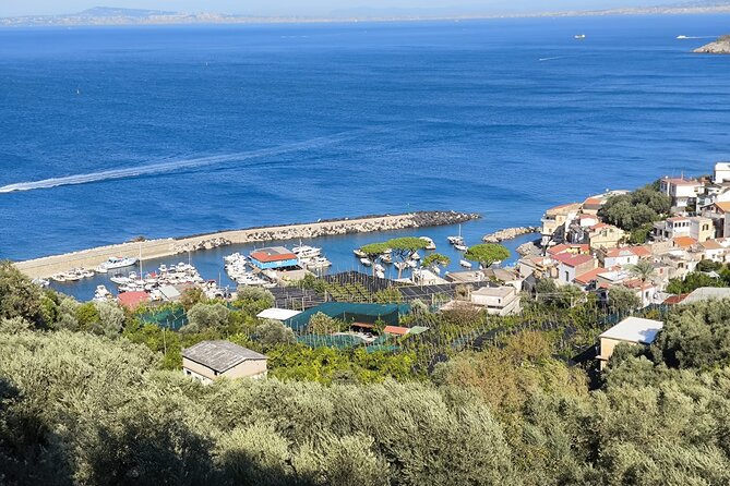 Private Tour by Car Seeing Capri and 1 Hour Visit Positano - Itinerary Highlights