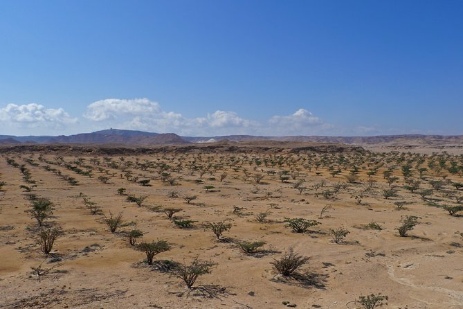 Private Tour – Empty Quarter Desert Adventure – Wadi Dawka + Ubar