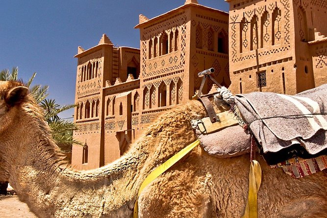 Private Tour From Marrakech to Ait Benhaddou and Ouarzazate - Tour Overview