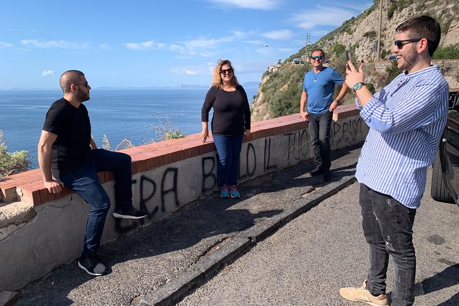 Private Tour | From Naples, Pompeii Ruins to Sorrento With Driver - Tour Logistics