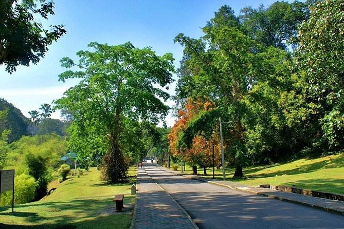 Private Tour: Full Day Center Penang Island Tour - Tour Expectations and Information