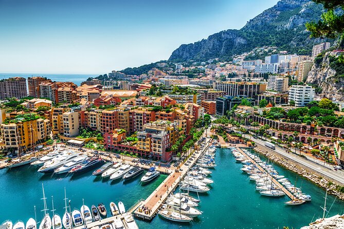 Private Tour Hidden Gems, Art & Monumental Trees From Monaco - Private Transportation