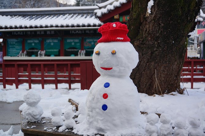 Private Tour Nami Island With Petite France And/Or the Garden of Morning Calm - Visitors Experiences