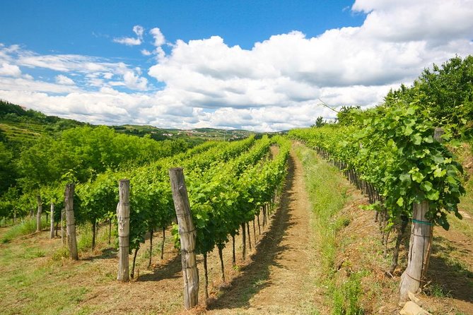 Private Tour of Goriska Brda Wine Hills From Ljubljana - Pickup Instructions and Logistics