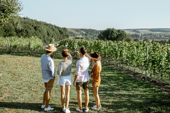 Private Tour of San Sebastian and Getaria With Txakoli Tasting - Pricing and Guarantee