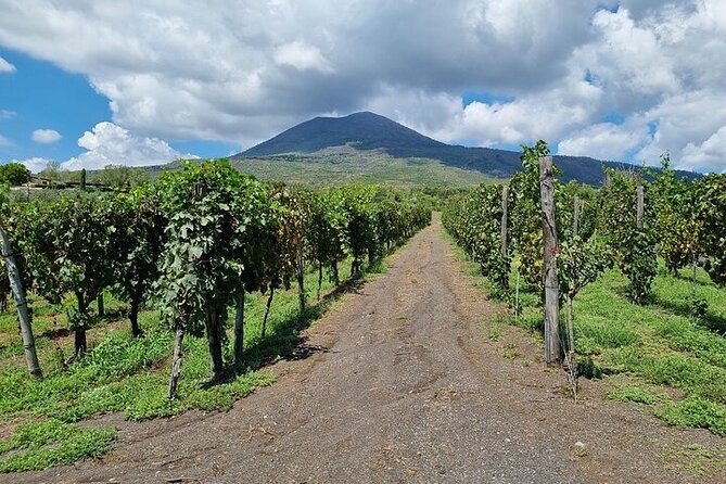 Private Tour Pompeii and Vesuvio Park From Napoli or Amalfi Coast - Tour Options and Additional Info