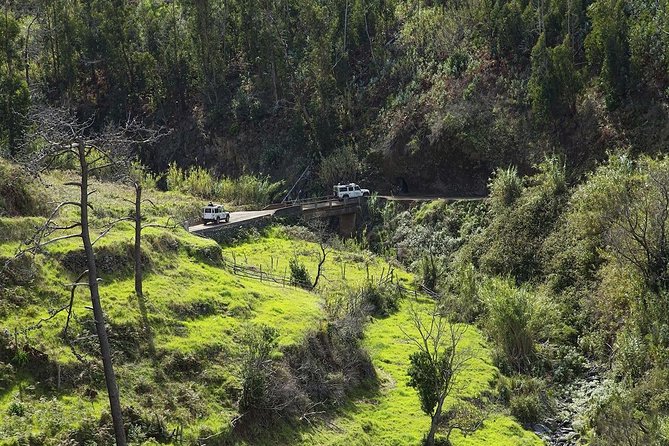 Private Tour: The Best of the South - Jeep Safari Tour - Full Day - Inclusions and Exclusions