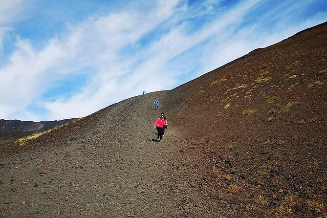 Private Tour to Etna From Brucoli and Augusta