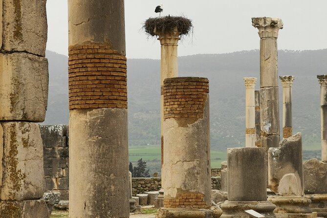 Private Tour To Meknes/ Volubilis/ Moulay Idriss From Fes
