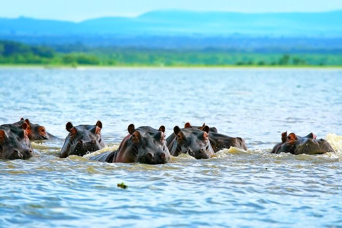 Private Tour to Mount Longonot and Optional Boat Ride on Lake Naivasha - Tour Inclusions