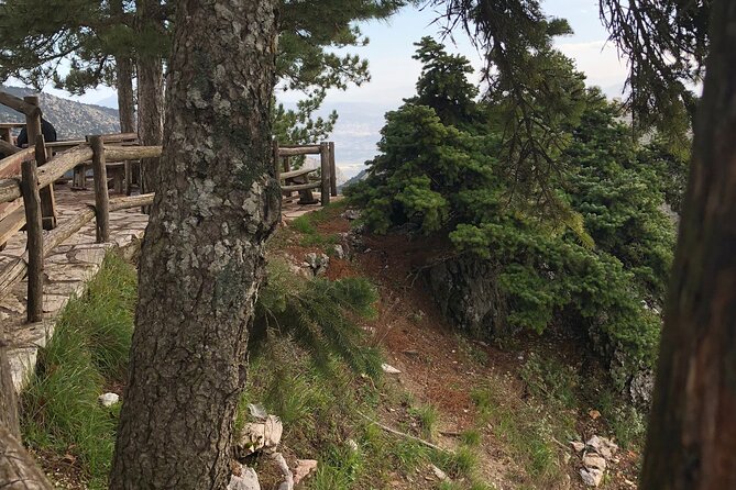 Private Tour To Parnitha and Mpafi Refuge Half Day - Pickup Details and Logistics