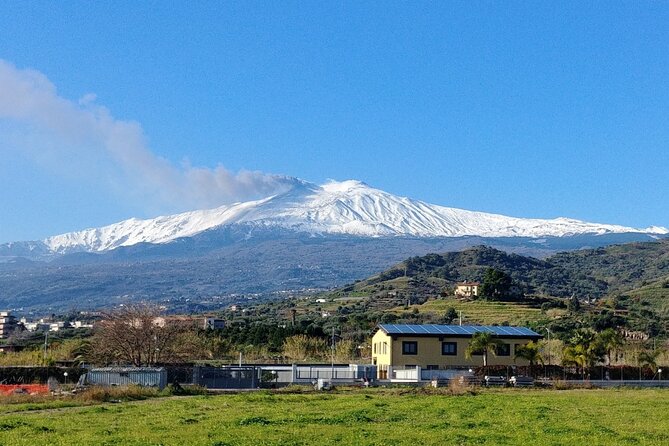 Private Tour to Taormina and Etna - Pricing Details