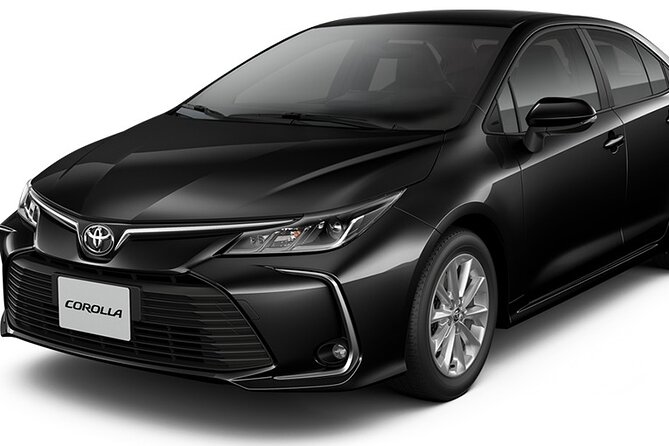 Private Transfer From Airport to the City of Madrid Round Trip - Booking Information