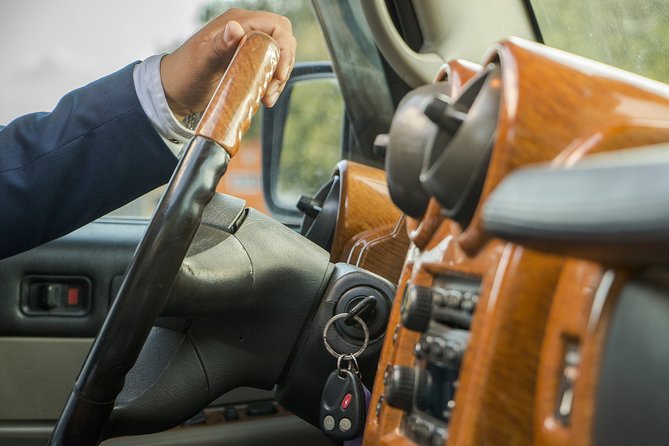 Private Transfer From Aswan Hotels to Aswan Airport - Service Details