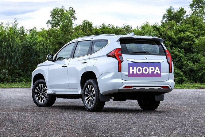 Private Transfer From Luxor Airport to Any Hotel - Service Details