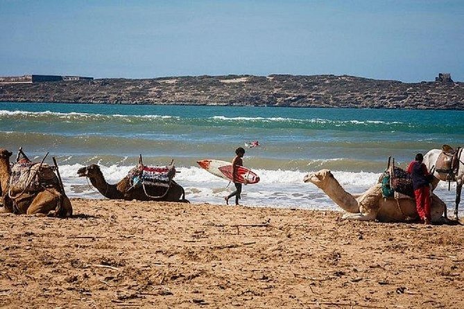 Private Transfer From Marrakech to Essaouira - Pickup and Drop-off Information