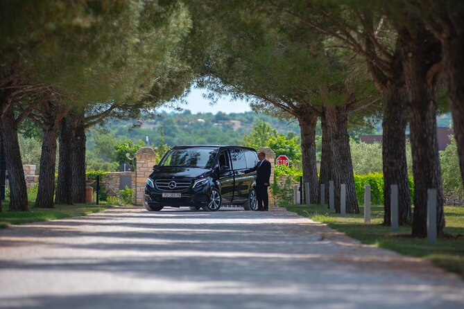 Private Transfer From Rovinj to Ljubljana